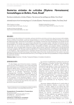 Bacterias aisladas de culícidos (Diptera: Nematocera) hematófagos