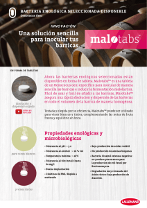 Una solución sencilla para inocular tus barricas