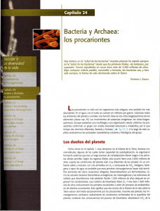 Bacteria y Archaea: los procariontes