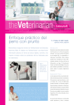 Enfoque práctico del perro con prurito - clinicalvetnews