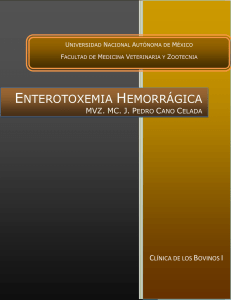 enterotoxemia hemorrágica