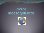 ciclos biogeoquímicos - Estudios Ecologistas