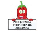 PROCEDENCIA TECTÓNICA DE ARENISCAS
