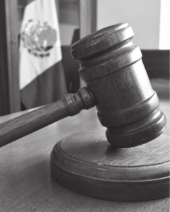 La memoria y su importancia en el campo forense