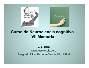 Curso Neurociencia cognitiva. VII Memoria