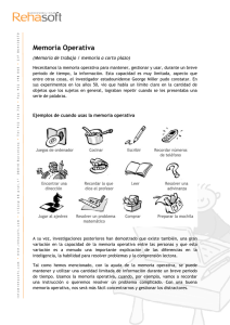 Memoria Operativa
