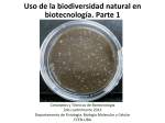 Uso de la biodiversidad natural en biotecnología. Parte 1
