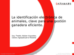 La identificación electrónica animal, como