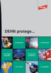 DEHN protege