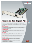 Tarjeta de Red Gigabit PCI