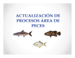 diseño procesos sala de peces