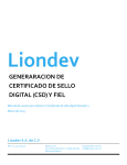 Liondev – Agile software on demand