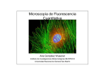 Microscopía de Fluorescencia Cuantitativa