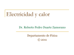 Electricidad y calor - Roberto Pedro Duarte Zamorano