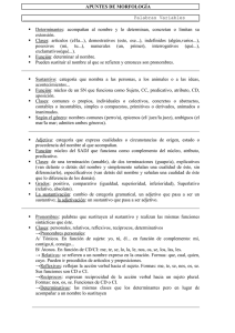 APUNTES DE MORFOLOGÍA
