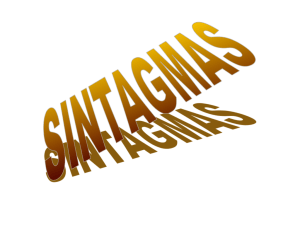 Sintagmas-tipos,estructuras y funciones