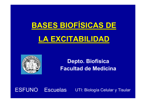 bases biofísicas de la excitabilidad - ESFUNO-Escuelas