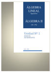 ÁLGEBRA LINEAL ÁLGEBRA II Unidad Nº 1