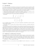 Matrices 2013 - Álgebra en la Unsl