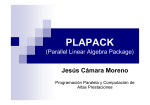 PLAPACK Parallel Linear Algrebra Package