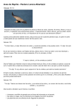 Aves de Rapiña - Pastora Lorena Albertazzi