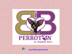 PULSERAS BB I LOVE PERROTON by Alejandra Botto