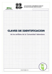 claves de identificacion