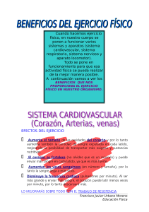EFECTOS DEL EJERCICIO Aumenta el tamaño de las cavidades