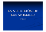 Nutrición animales - IES María Moliner
