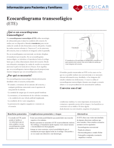 Información ecocardiograma transeofásico