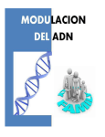 Modulacion del ADN - Estilo de Vida de Sistema DEAR