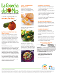 mandarina - Project Eat