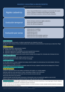 rigidez cadavérica-rigor mortis