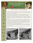 greyhounds - College of Veterinary Medicine