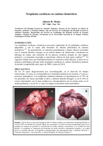 Neoplasias cardíacas