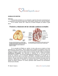 Descargar PDF - Cardiopatías Congénitas