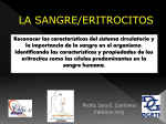 sangre
