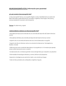 NEUROSONOGRAFÍA FETAL (información para pacientes)