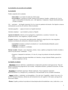 La circulación y la excreción en los animales La circulación Fluidos