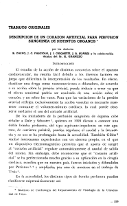 DESCRIPCION DE SANGUINEA DE DISTINTOS ORGANOS .