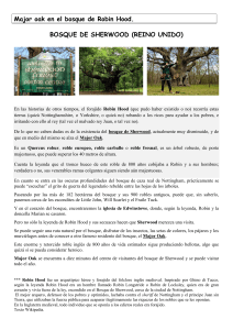 Major oak en el bosque de Robin Hood. BOSQUE DE SHERWOOD