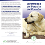 Heartworm Disease Spanish