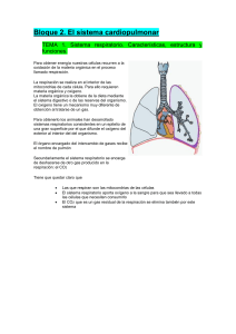 Bloque 2. El sistema cardiopulmonar