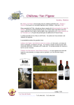 Château Yon Figeac - Los Vinos del Mundo
