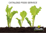 catalogo food service