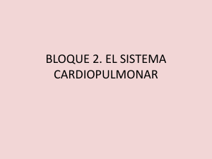 bloque 2. el sistema cardiopulmonar - IES Alfonso X el Sabio