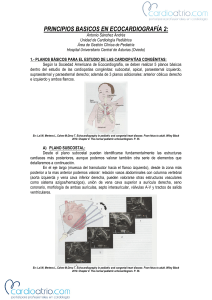 Principios básicos 2