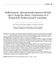 Malformación adenomatoidea quística (MAQ) tipo 4