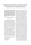 Identificación de proteínas en imágenes de geles 2D