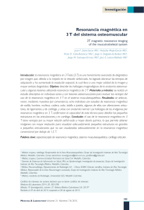 Resonancia magn&eacute;tica en 3 T del sistema osteomuscular